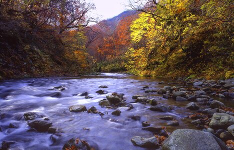 Late autumn shirakami-sanchi world heritage region