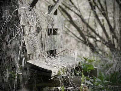 Broken weathered wooden bench photo