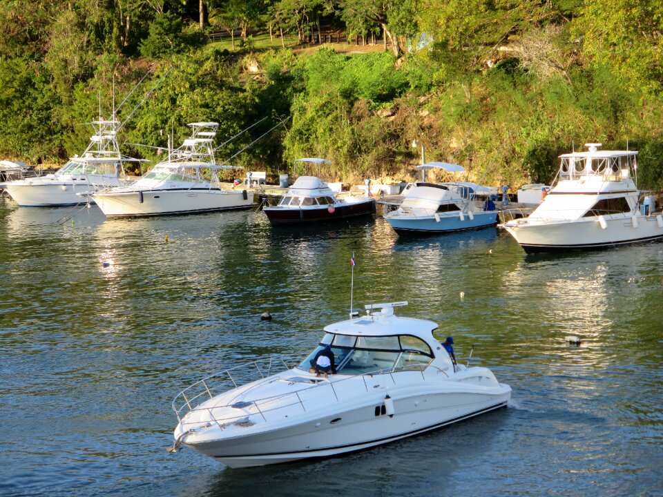 Yachts yacht club boats