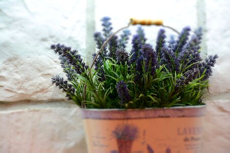 Herb wellness spa