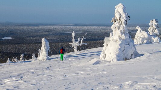 Wintry winter mood cold photo