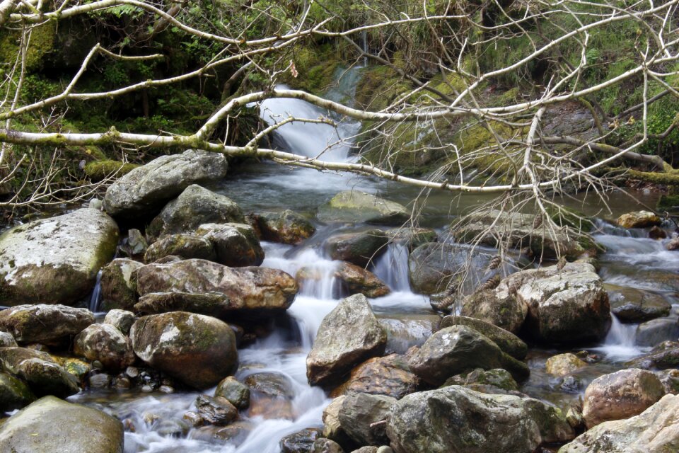 Water nature ireland