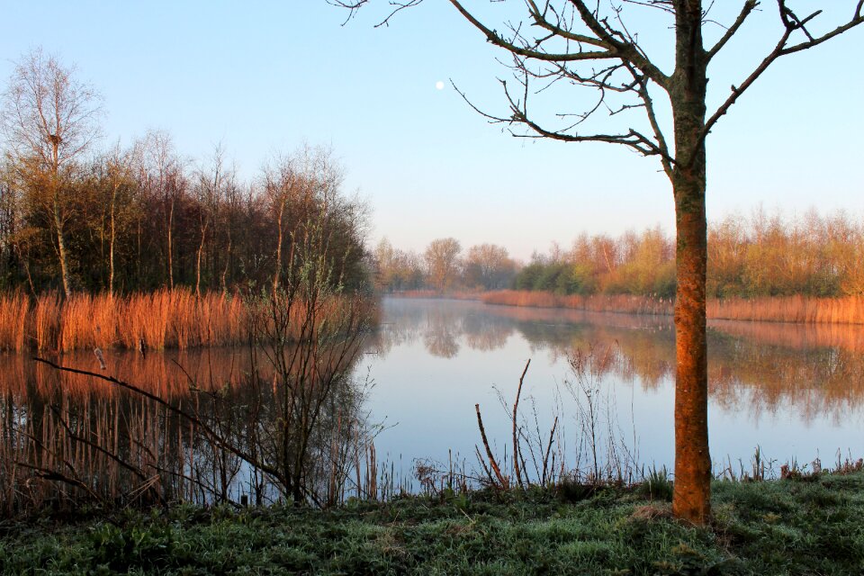 Landscape friesland pond photo