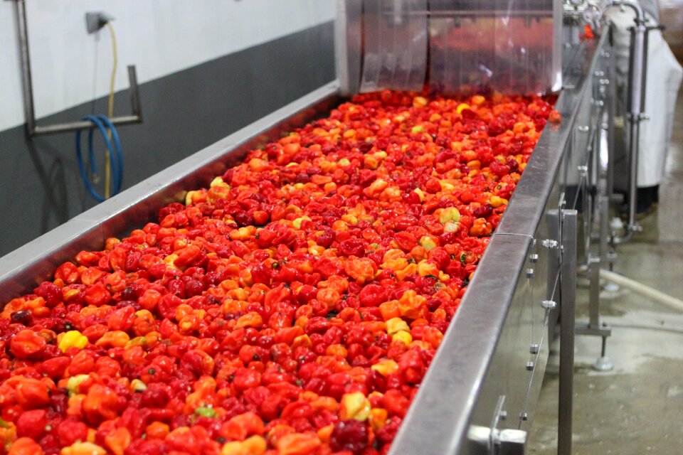 Red habanero hot sauce