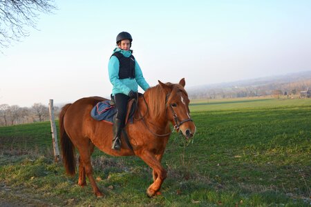 Horseback riding hiking animal photo