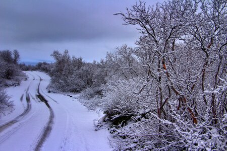Winter snow cold