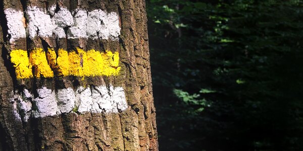 Nature hiking migratory character