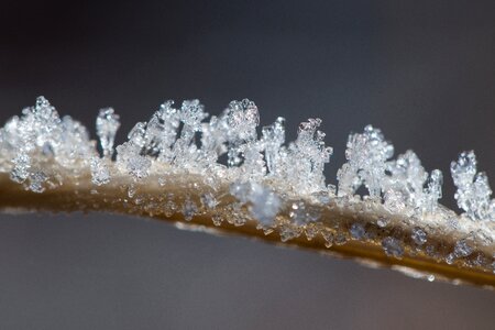 Winter macro crystal formation