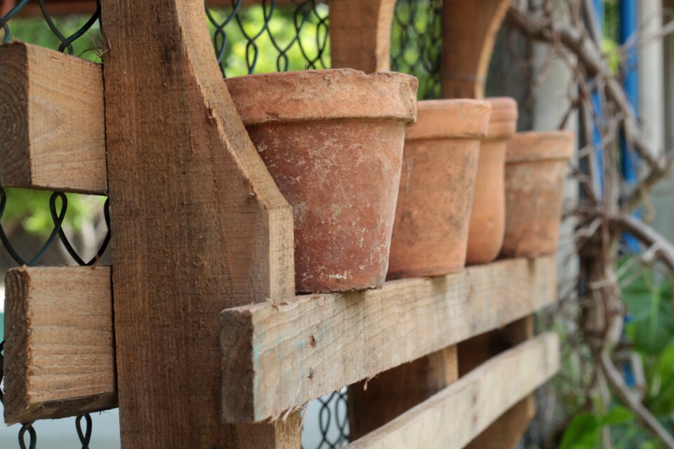 Culture clay photo