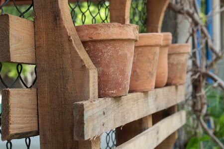 Culture clay photo