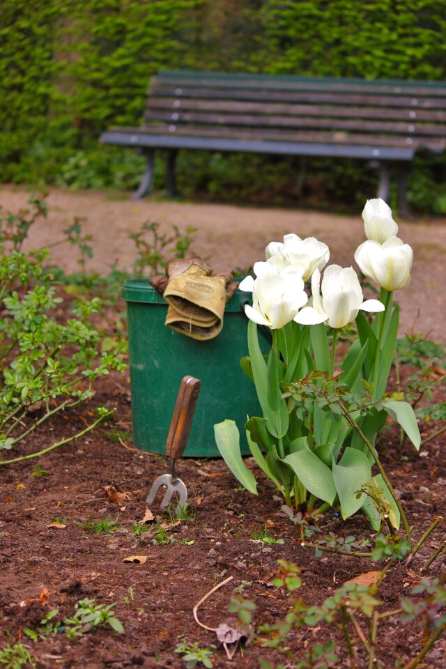 Bucket garden tools gardening gloves