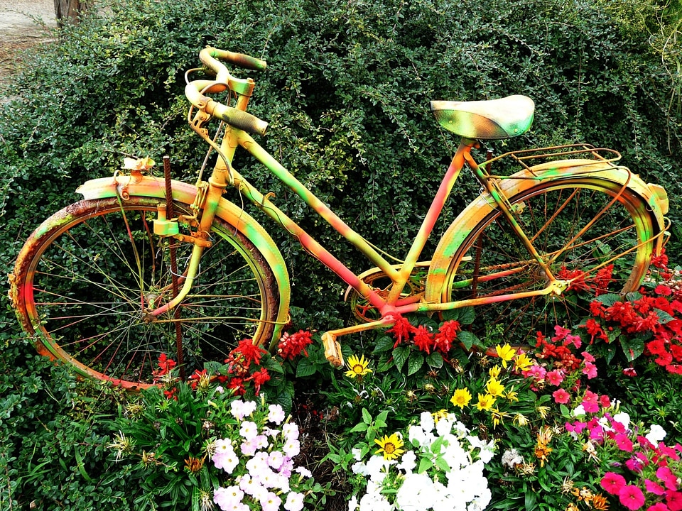 Bike cycle sport