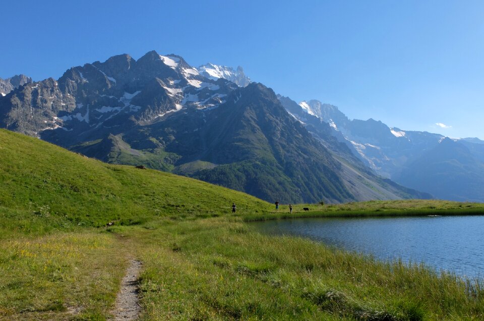 Summer alps nature