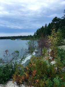 Nature water