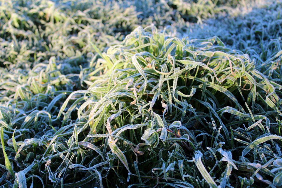 Ice cold surface