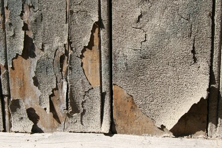 Wall background masonry photo