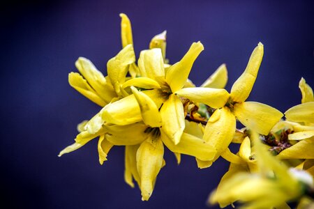 Yellow blue background hd wallpaper