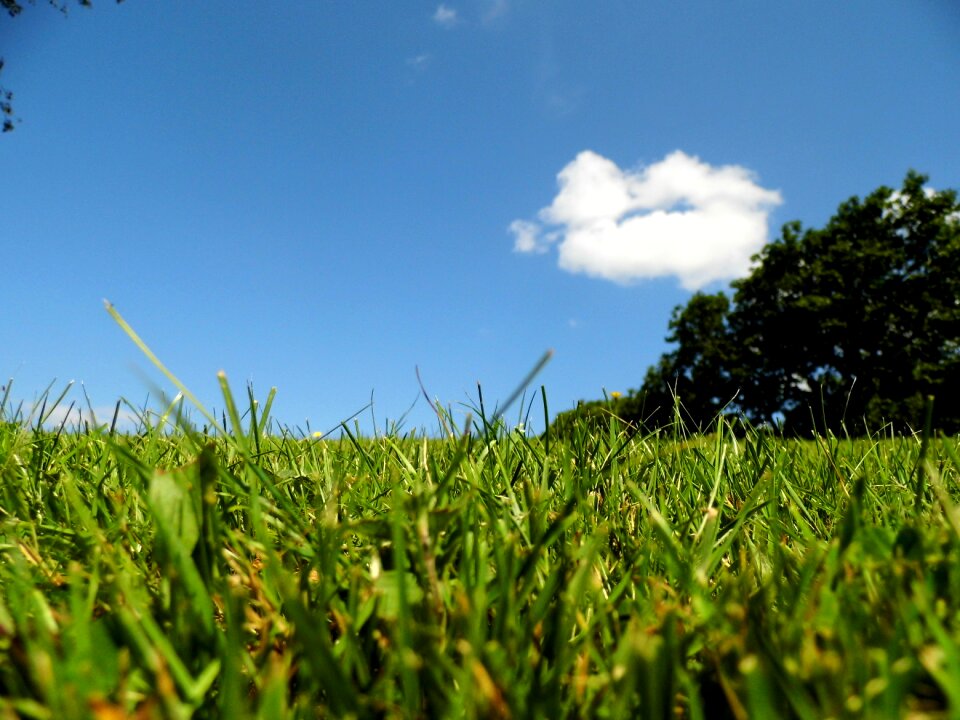 Green natural spring