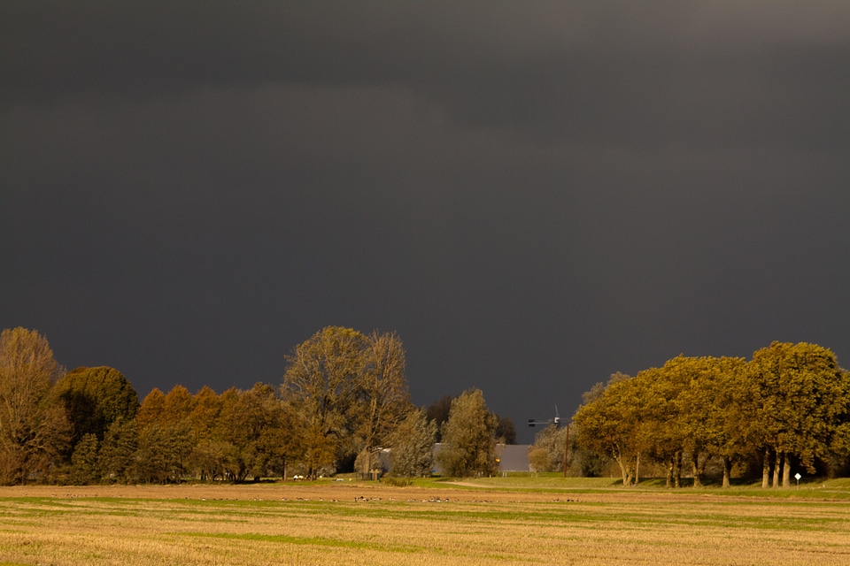 For rain landscape clouds