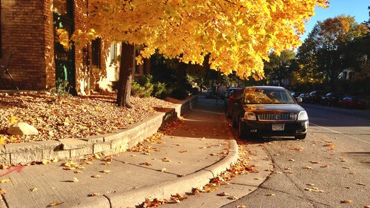 Street afternoon yellow
