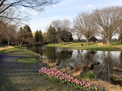 Lake spring the scenery photo