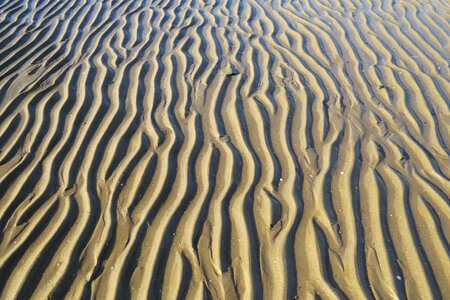 Ledges sea relief