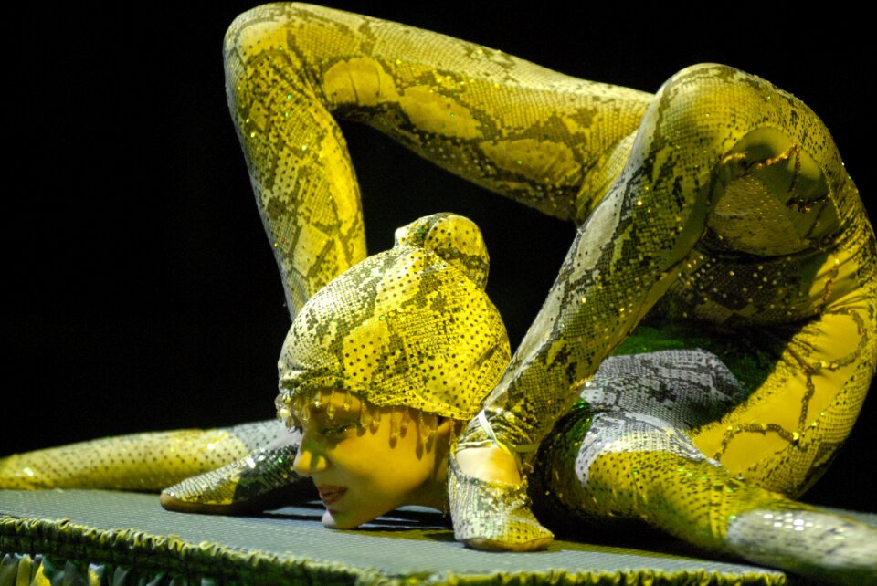 European youth circus 2008 snake man wiesbaden