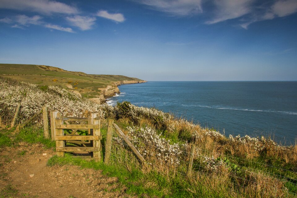 Ocean dorset england