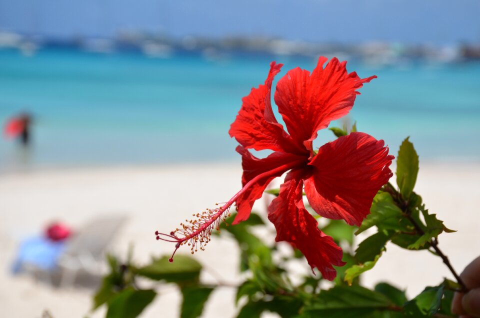 Sea sand salt water