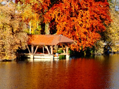 Mauensee autumn bank