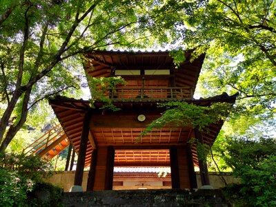 Shrine tourism gate photo