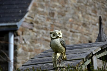 Bird eyes wood carving