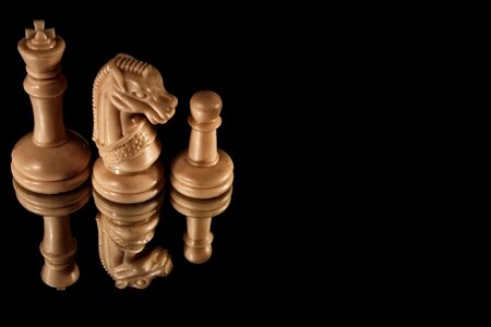 Chess game bishop