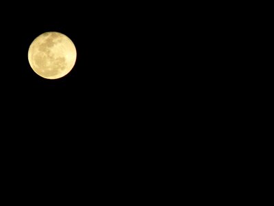 Nocturne full full moon photo