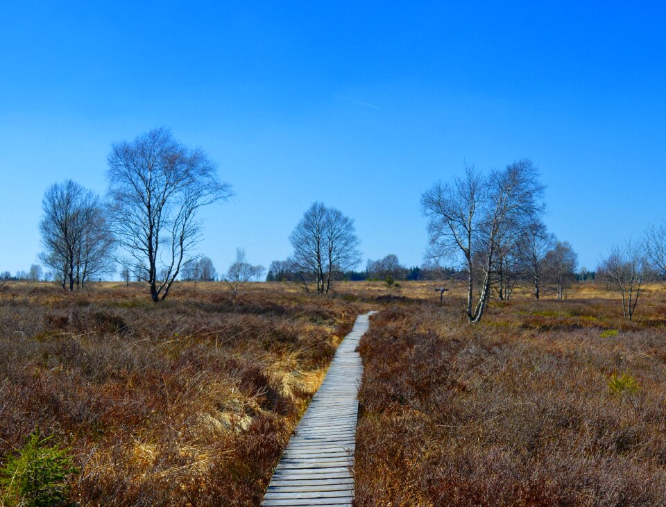 High venn nature conservation nature reserve