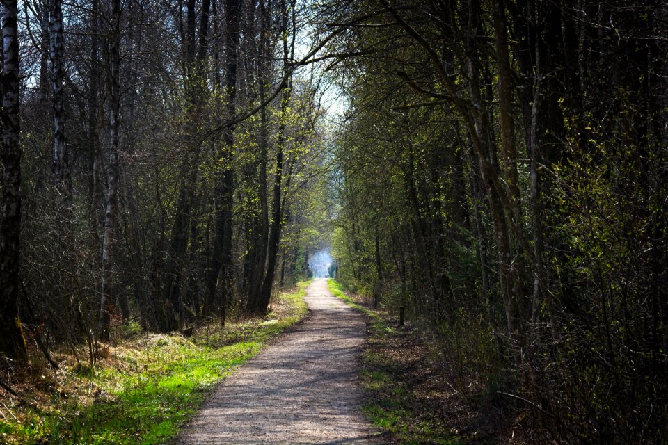 Away spring mood