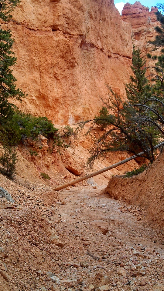 Utah sandstone landscape