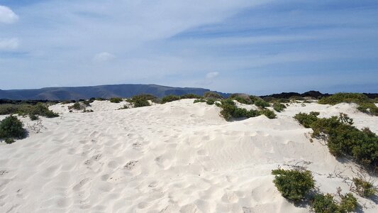 Canary islands landscape costa