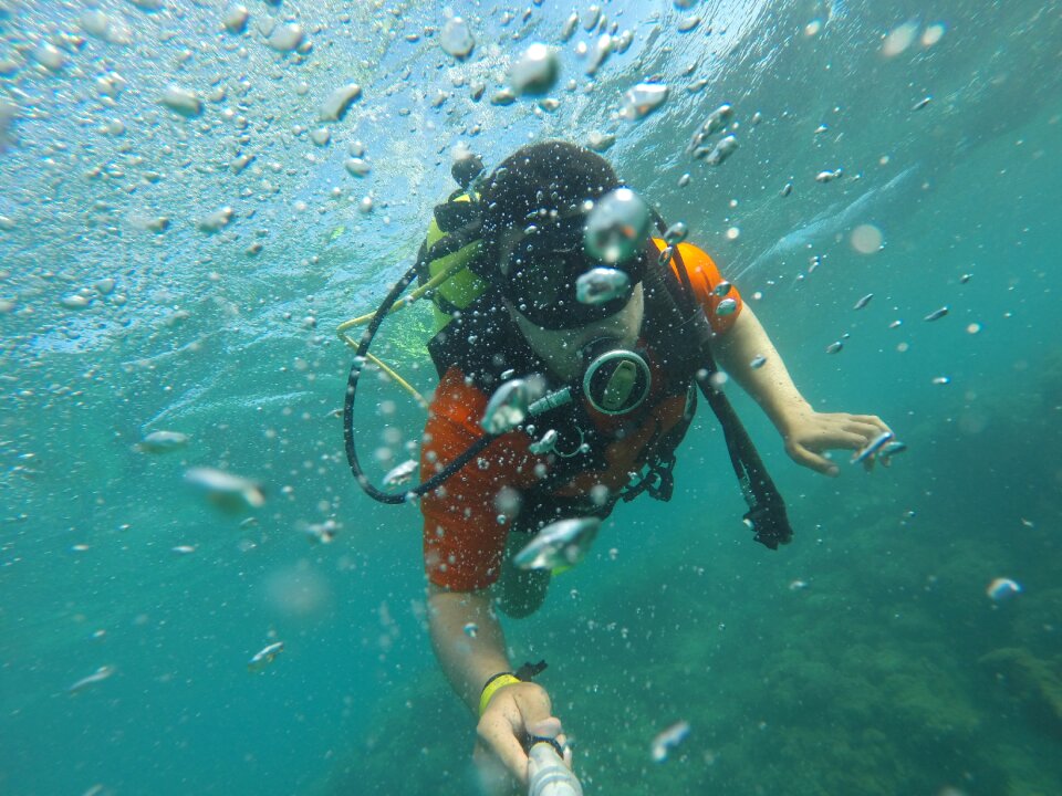 Swimming water aquatic