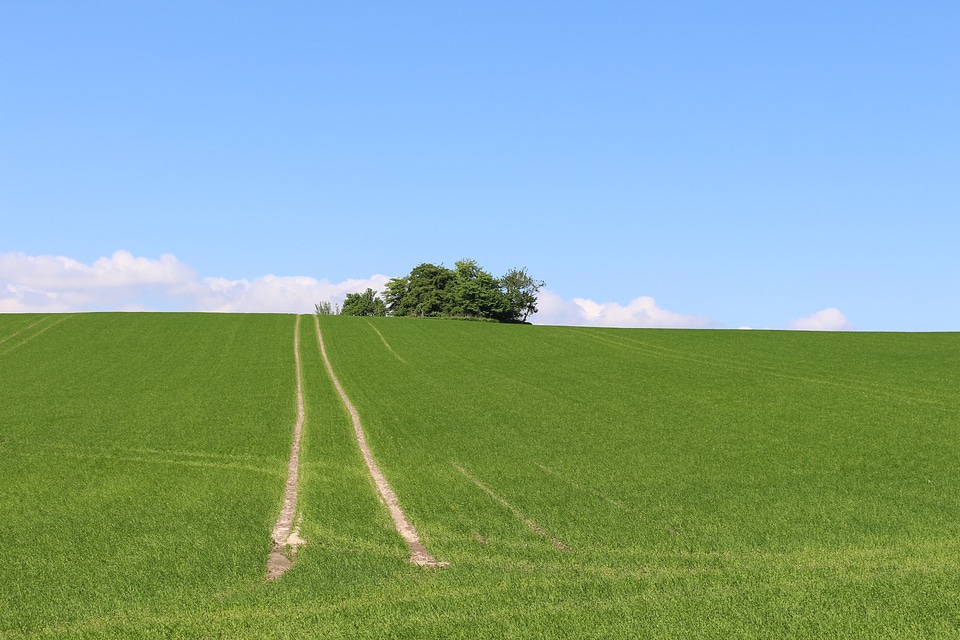 Countryside nature agriculture