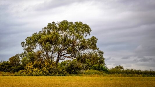 Landscape nature scenery