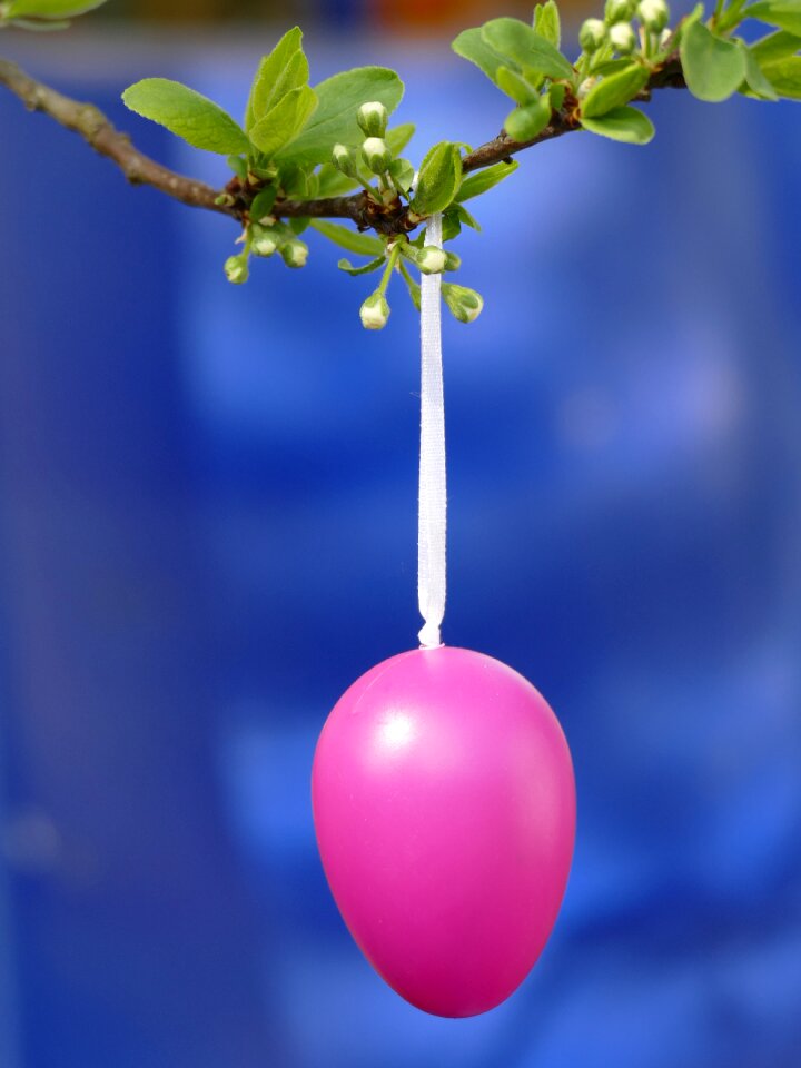 Egg spring easter theme