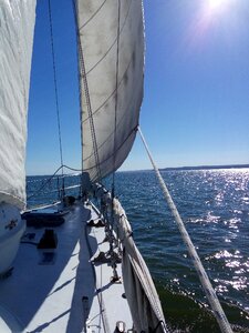 Sailboats cruise water