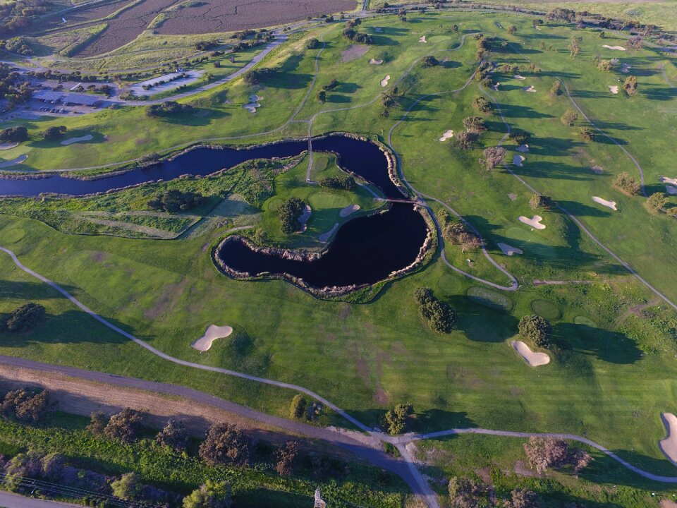 San francisco bay green golf green photography