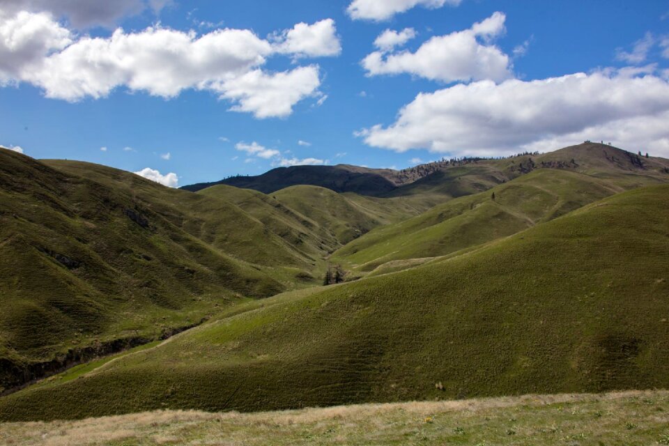 Washington landscape