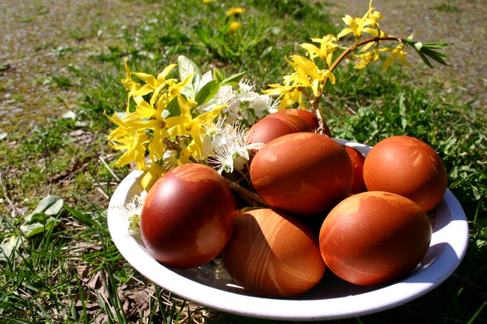 Eggs easter spring