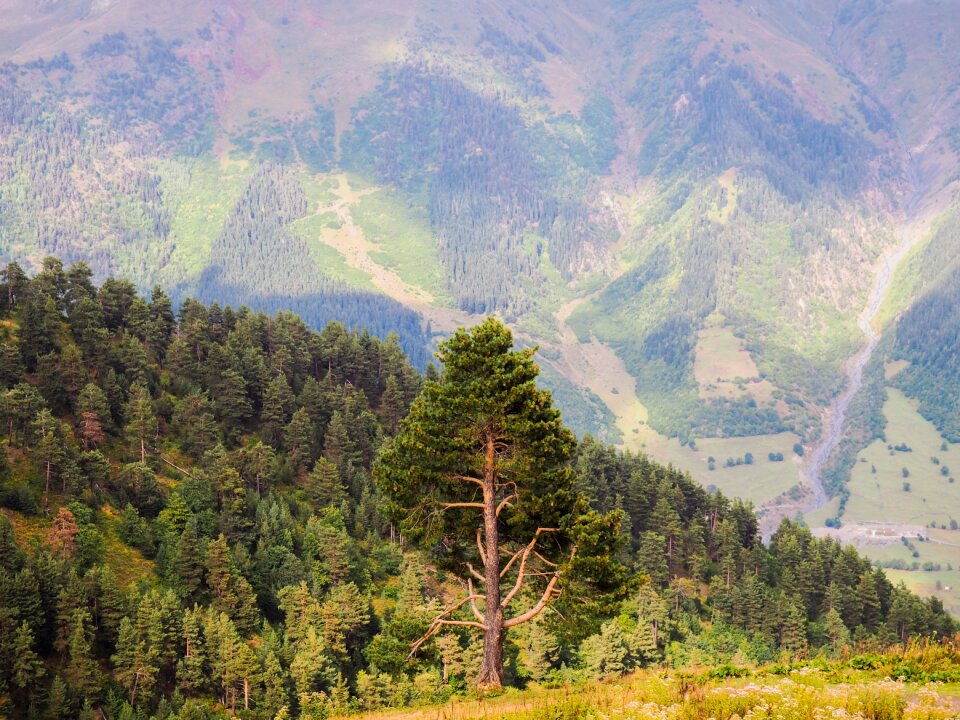 Landscape nature mountain photo