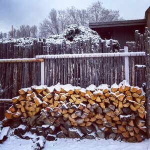 Fence winter outdoor photo