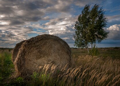 Hay summer wind photo