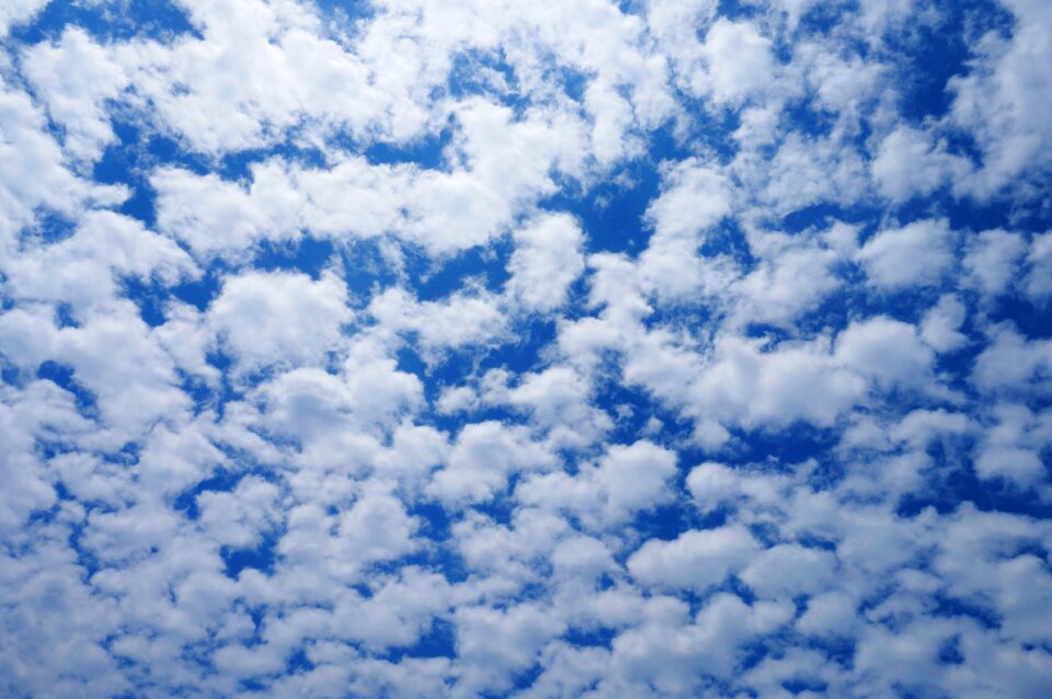 Cloudy marshmallow cotton candy